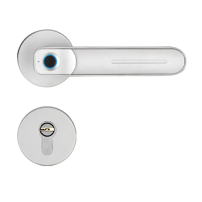 Smart cylinder lock Fingerprint smart locks wifi smart home door lock