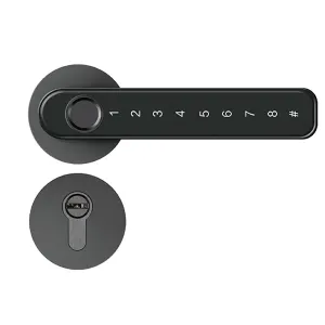 Biometric Password Code Door Lock Smart Lock Keyless Handle Fingerprint Lock