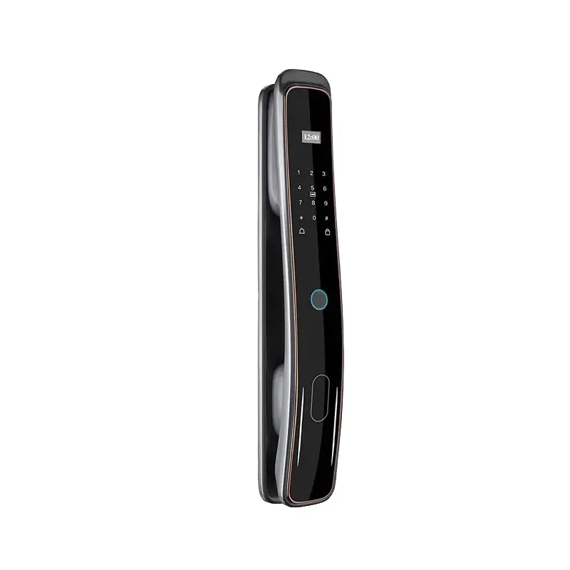 Automatic Zinc Alloy Electronic Password Fingerprint Keyless Hotel Doors Tuya smart lock With Face Recognition