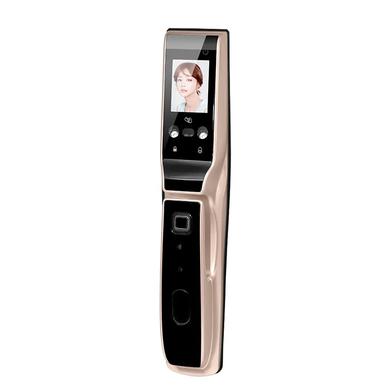 automatic biometric apartment door lock