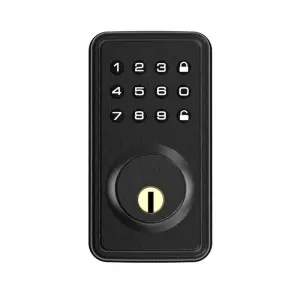 Waterproof Security Digital Zinc Alloy Entry Door Lock Electronic Keypad Smart Locks
